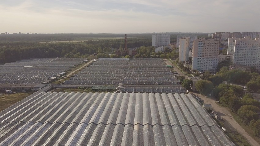 Арендаторы об удобном месторасположении агрофирмы «Подмосковное»
